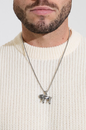Collar de bulldog para hombre - plata h5 Imagen3